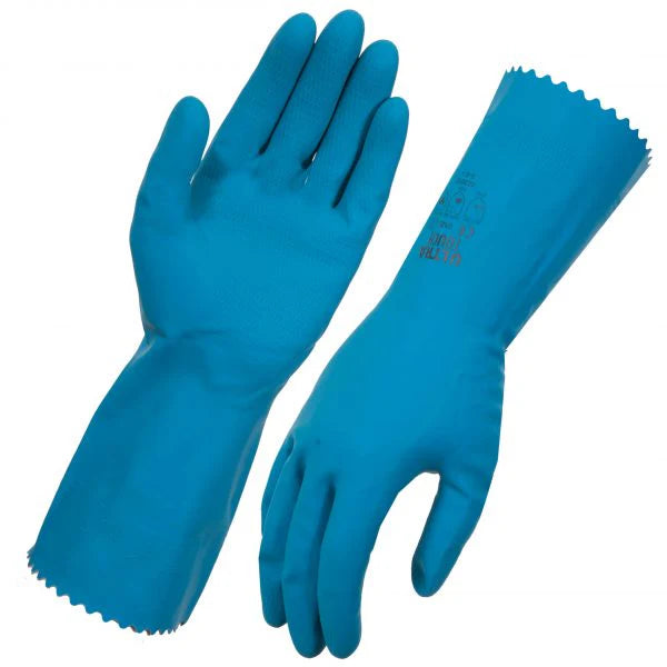 Disposable Rubber Gloves 12pc